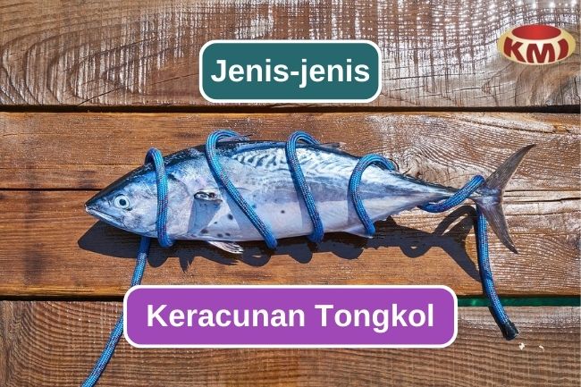 Jenis dan Penyebab Keracunan Ikan Tongkol